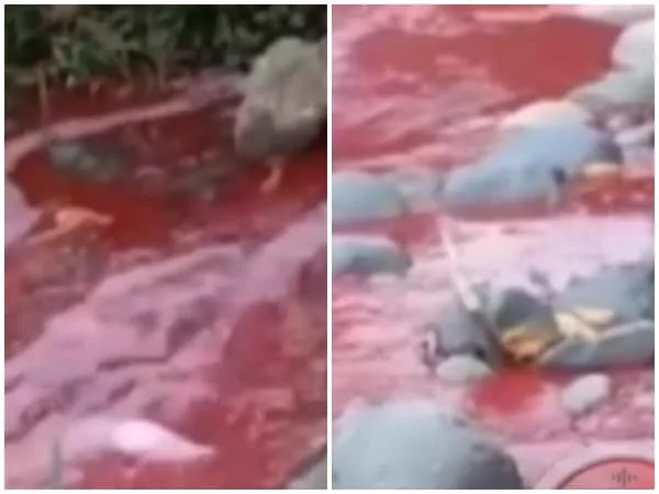 Misterioso líquido rojo en el río de Tuluá, comunidad llamó a las autoridades
