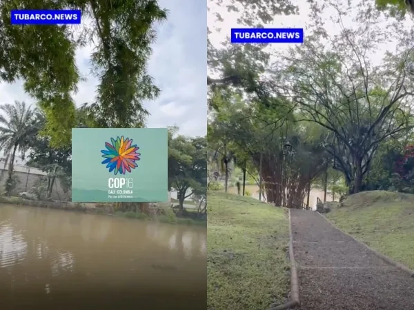 Con millonaria inversión CVC busca desarrollar acciones de sosteniblidad ambiental en Cali y el Valle para este 2025