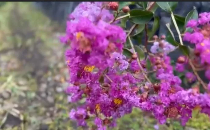 jardín más gran de Colombia