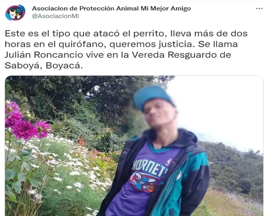 de ángel