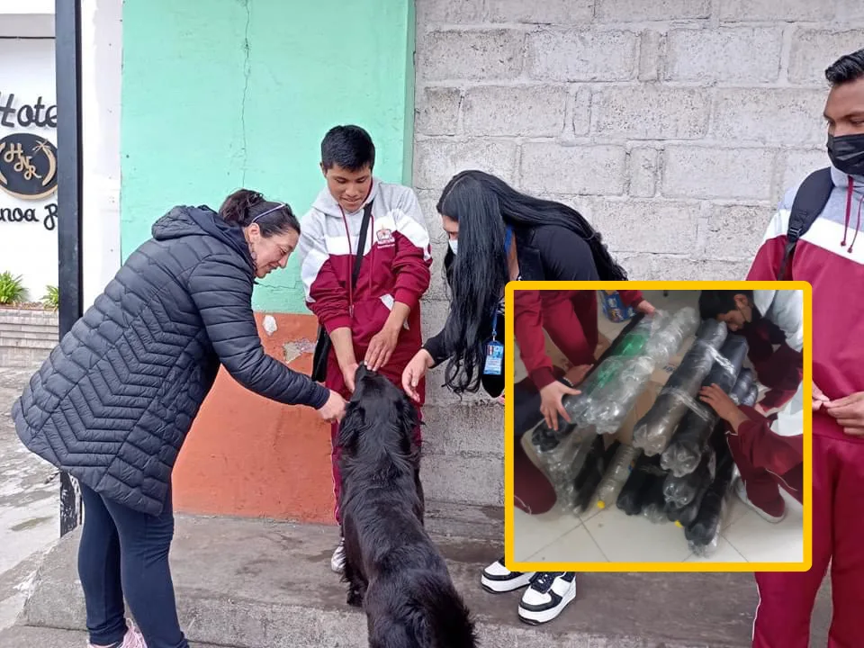 Guachucal animal