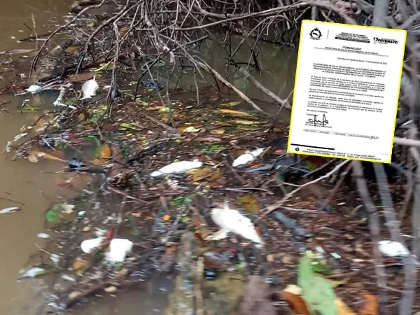 Alerta en Putumayo por mortandad de peces, por contaminación piden no atraparlos ni consumirlos