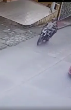 gatos costal Nariño