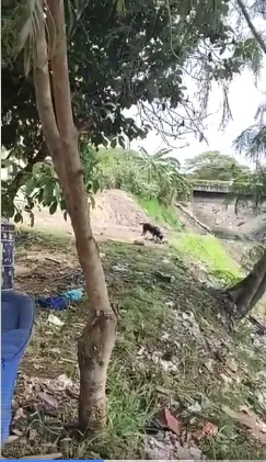 de basura en