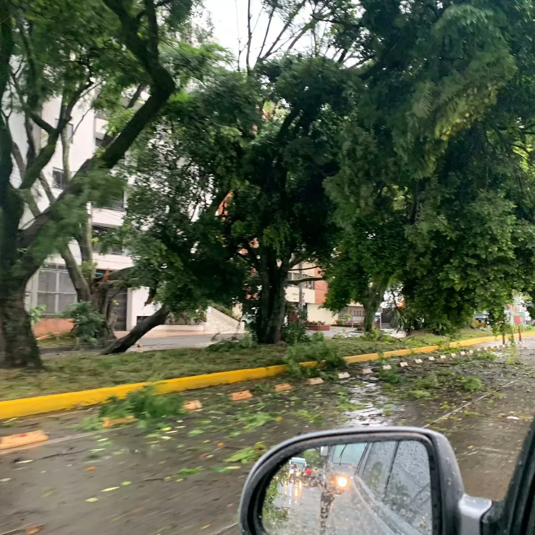 canal de aguas