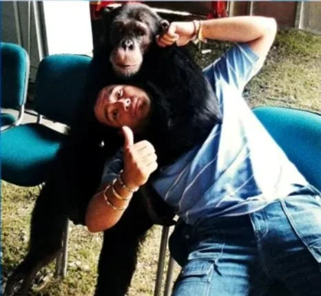 "Yo se lo doné al parque zoológico y no a Ukumarí", dijo Raúl Gasca, dueño de 'Pancho' el chimpancé asesinado en Pereira
