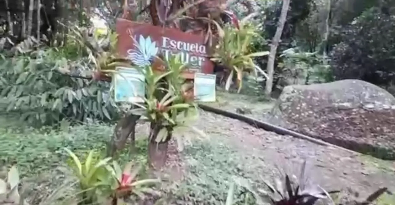 escuela taller de jardinería en Pance