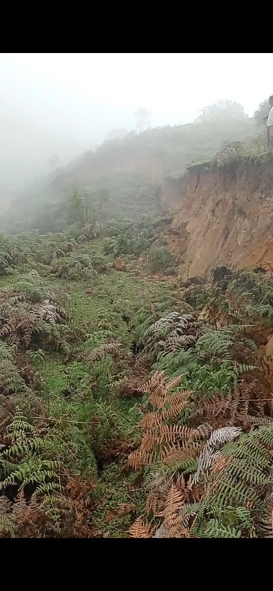 avalancha Florida Valle