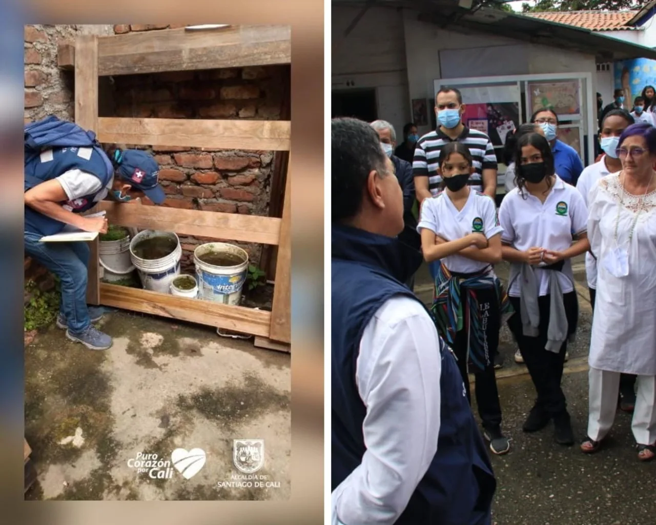 dengue en Cali brote criaderos
