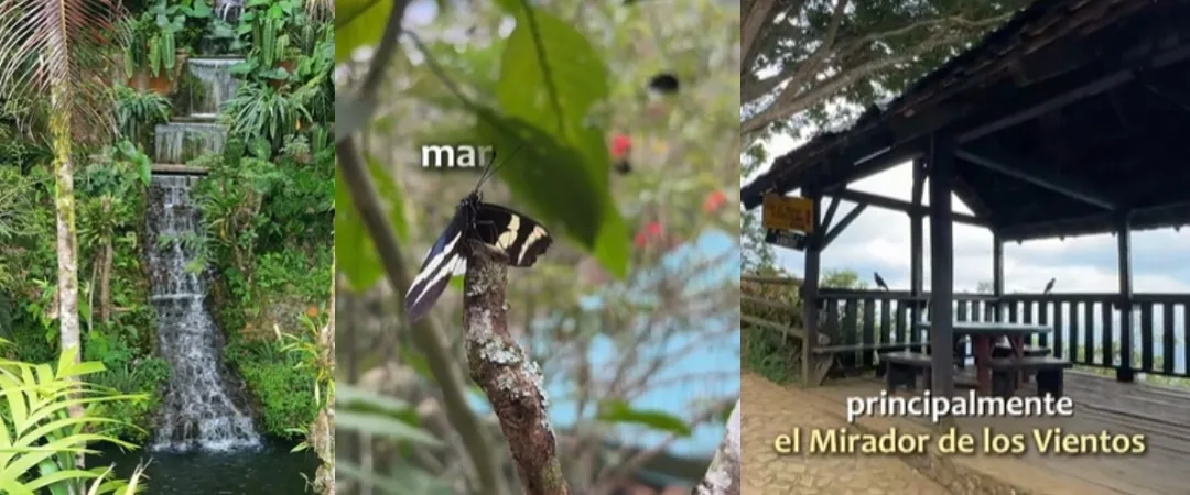 Tres lugares imperdibles para visitar en la Reserva Natural de Nirvana en Palmira