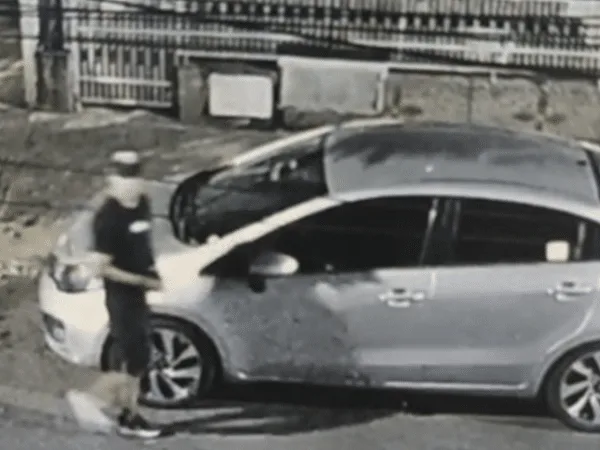 Delincuente que robó un vehículo en Cali.