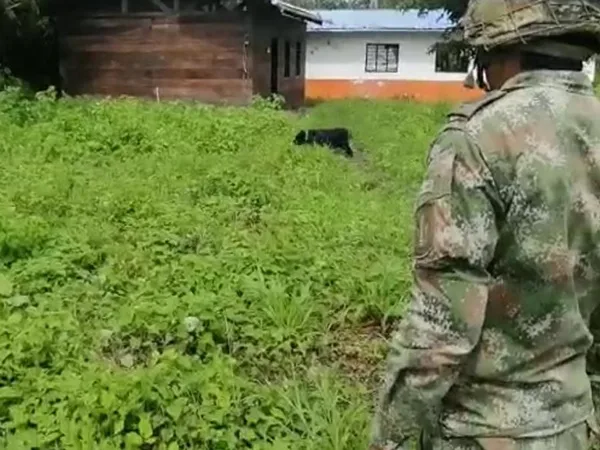 Instalaron 5 minas antipersonal alrededor de un colegio de Nariño al que acuden 50 estudiantes