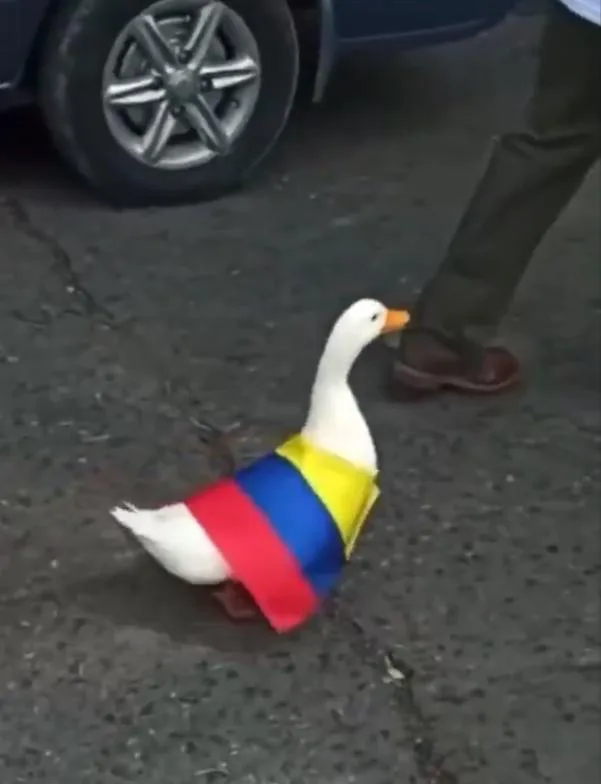 la sensación es Tita y su tranquila manifestación. 