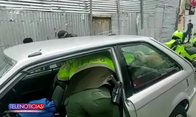 encerrado perro Pasto