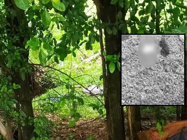 El cuerpo de otro bebé sin vida hallado en el Valle, ahora en un potrero en Cartago