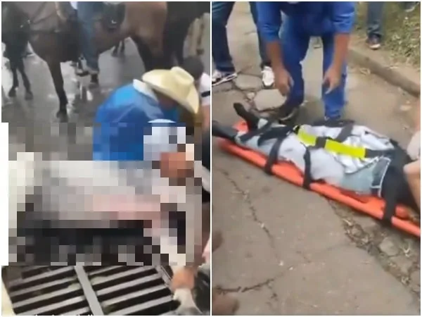 «El regreso de las cabalgatas a Villavicencio resultó en un caos»: Varios caballos resultaron heridos