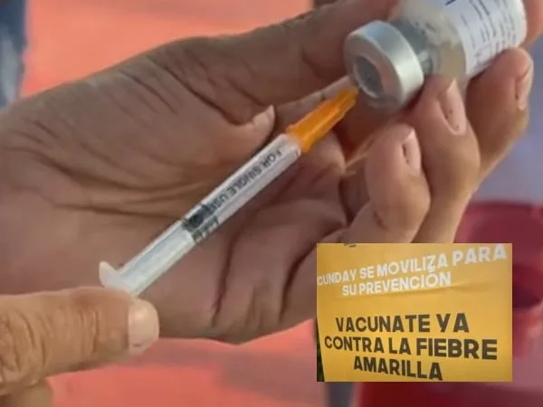 ¡Atención, viajeros! Estos son los países que exigen vacuna contra la fiebre amarilla