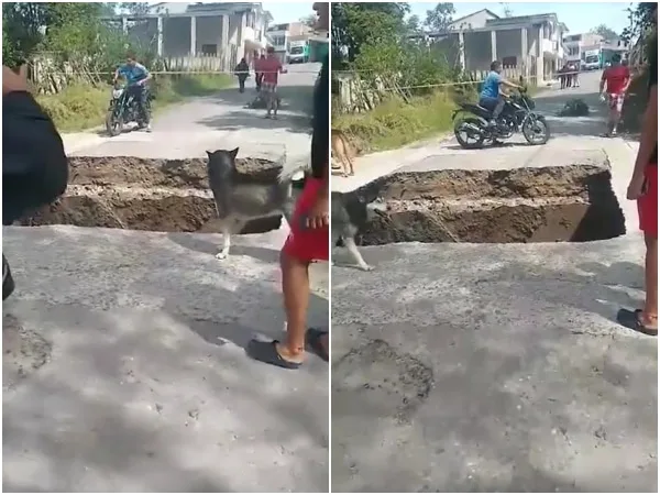 «Un vehículo logró pasar minutos antes»: Se desplomó un puente en el sector Pamplonita, La Cruz