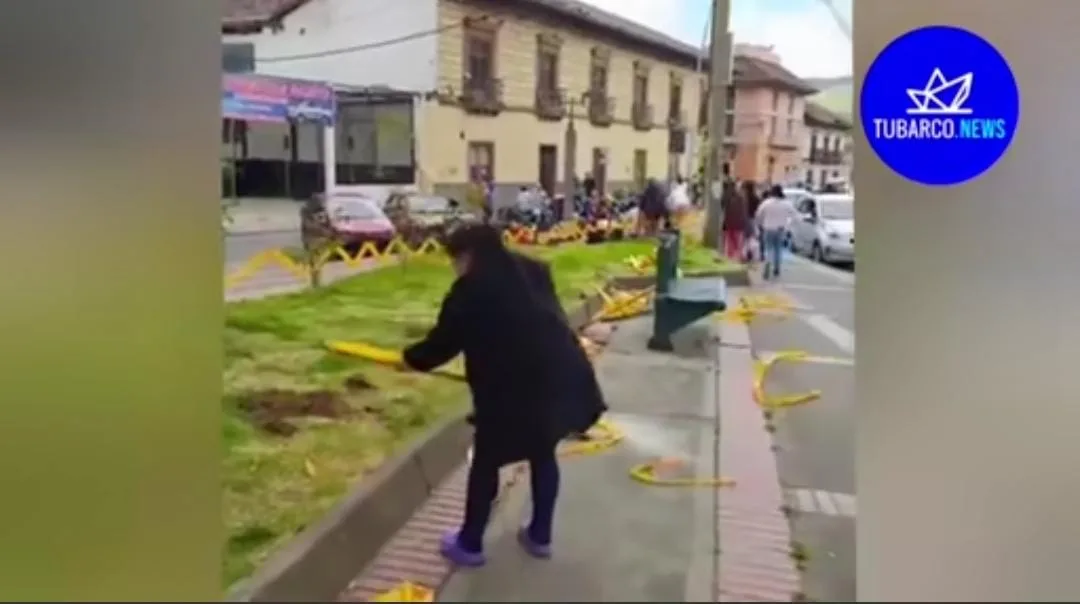 en pasto