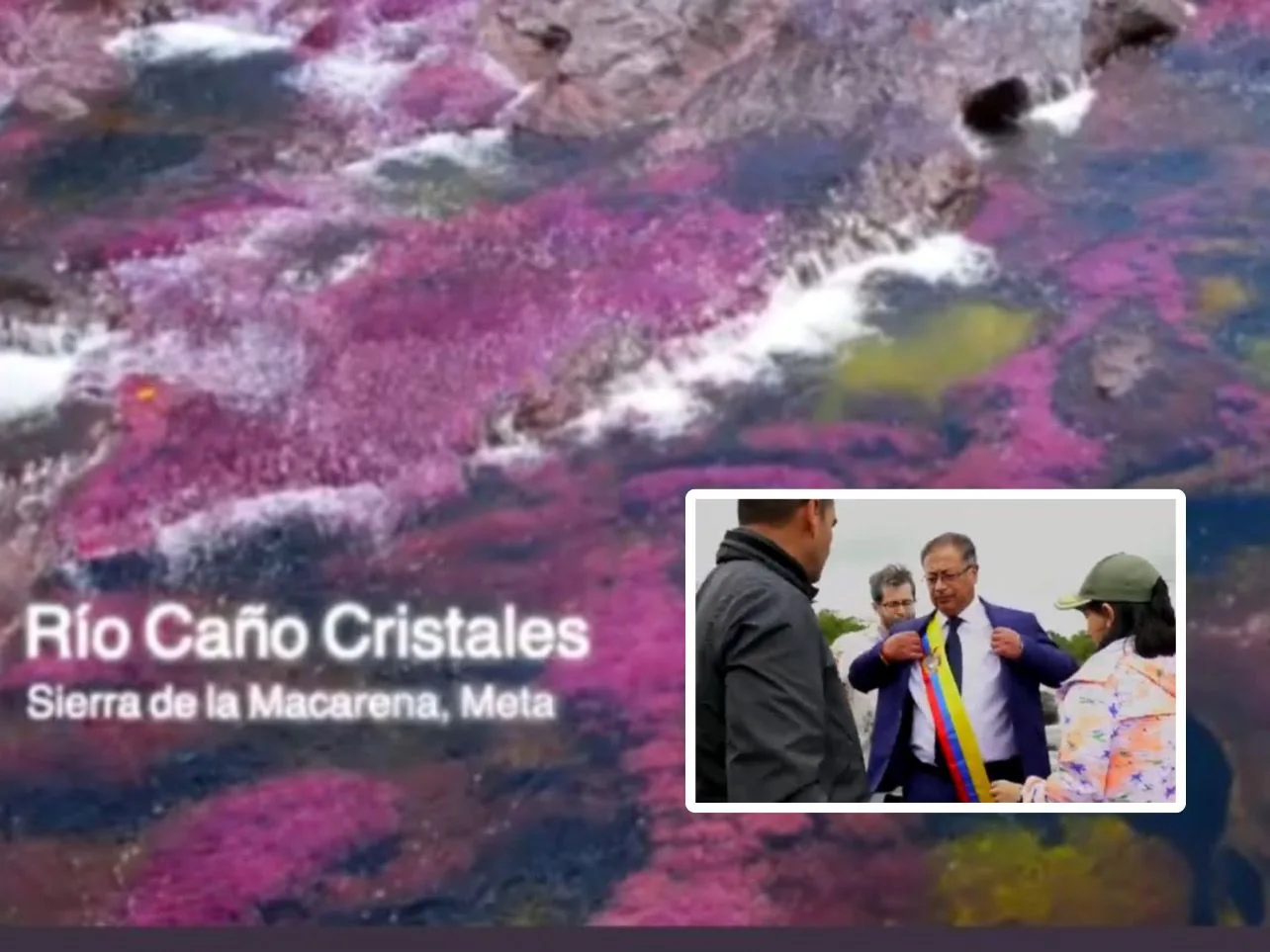 Petro Caño Cristales