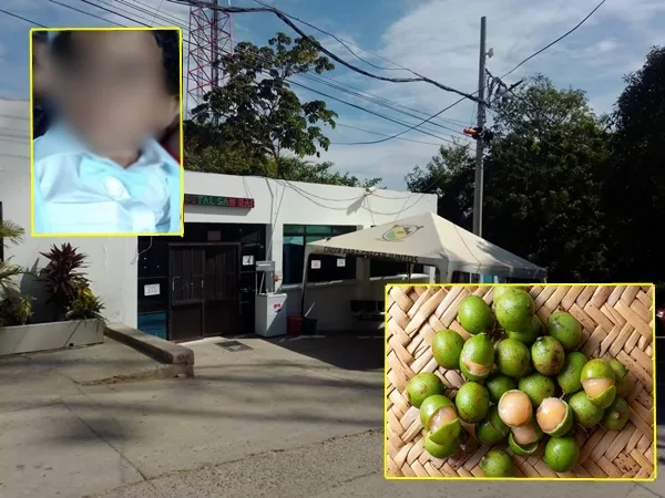 Bebé de un año de edad falleció tras ahogarse con una pepa de mamoncillo