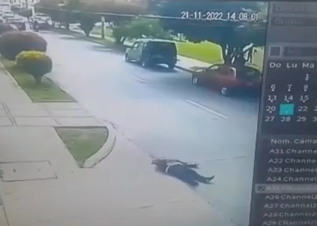 Familiares de la víctima del atraco, informaron que se está recuperando, "ya no se puede cruzar una calle con tranquilidad" en Pasto.