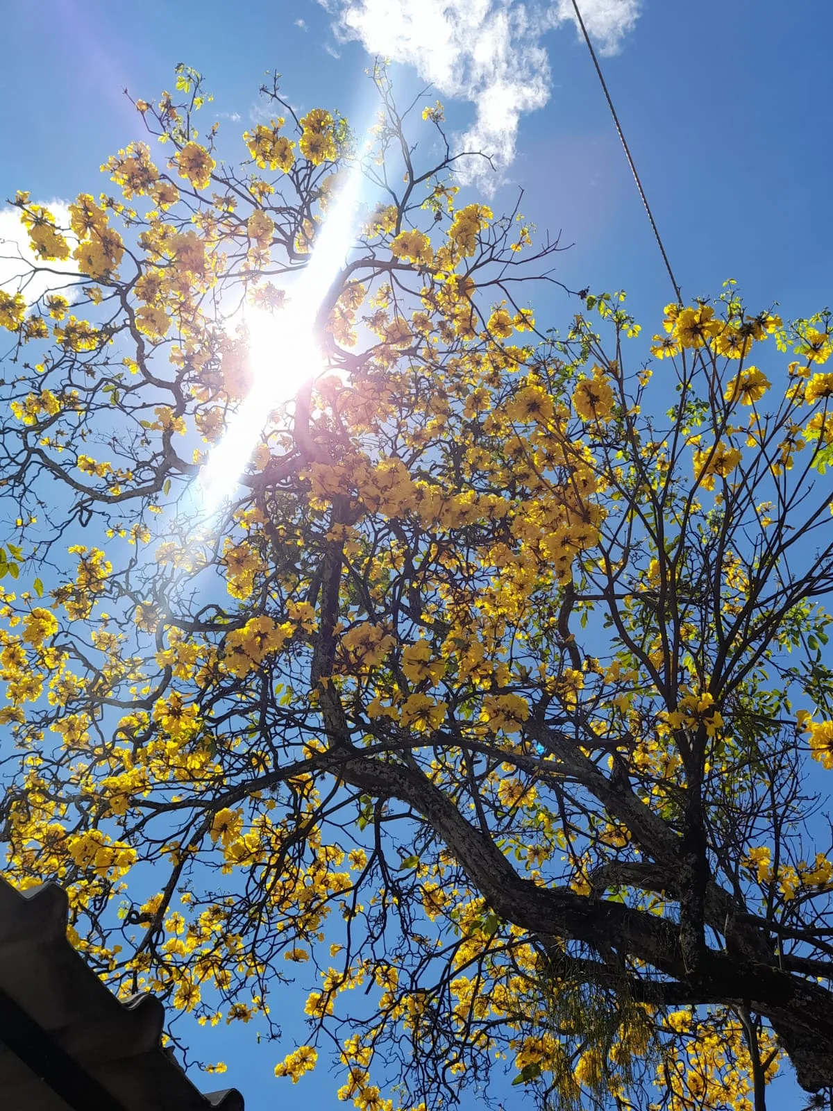 Julio registró las temperaturas más altas en ciudades de Colombia