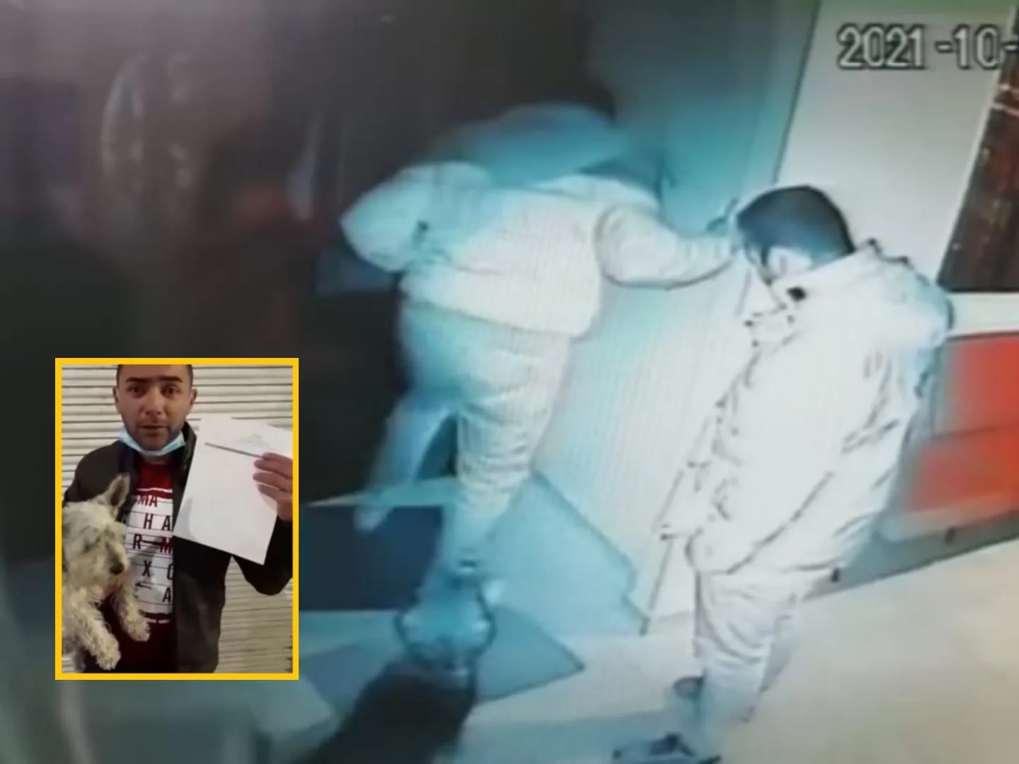 Rechazo en Pasto por el hombre que propinó varias patadas a un perro porque lo 'mordió', dijo: "No soy un maltratador"