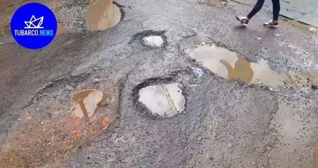 sembraron árboles en los huecos