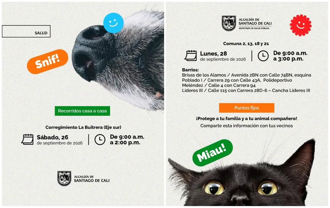 Puntos de vacunación antirrábica para perros y gatos en Cali.
