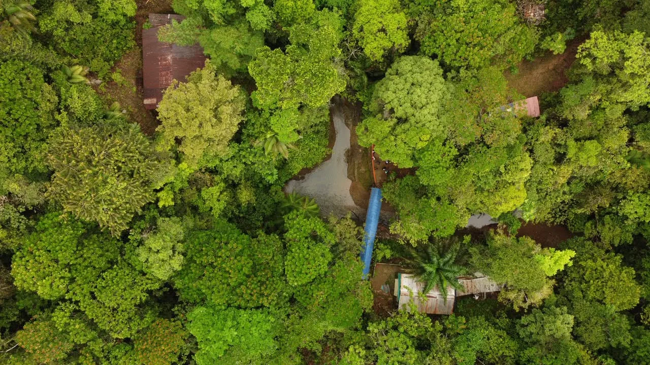 Nuevas zonas protegidas en el Valle del Cauca.