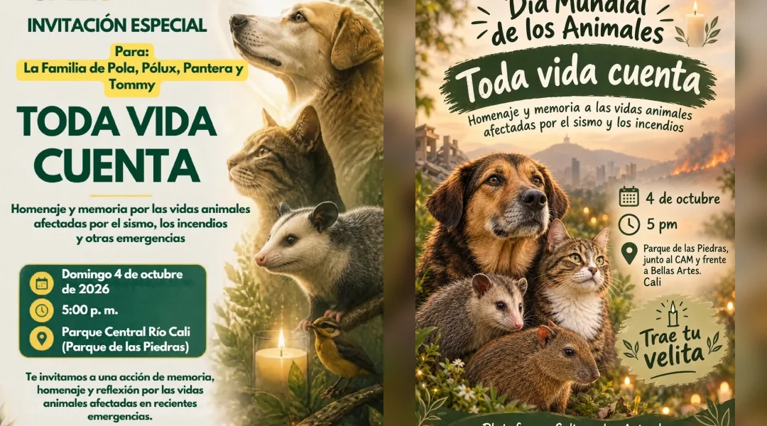 Velatón por animales afectados por emergencias en Cali