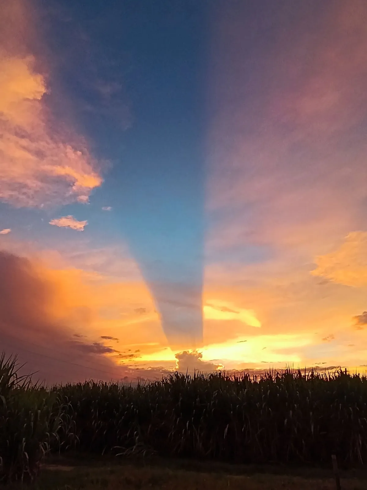 Atardecer en Cali.