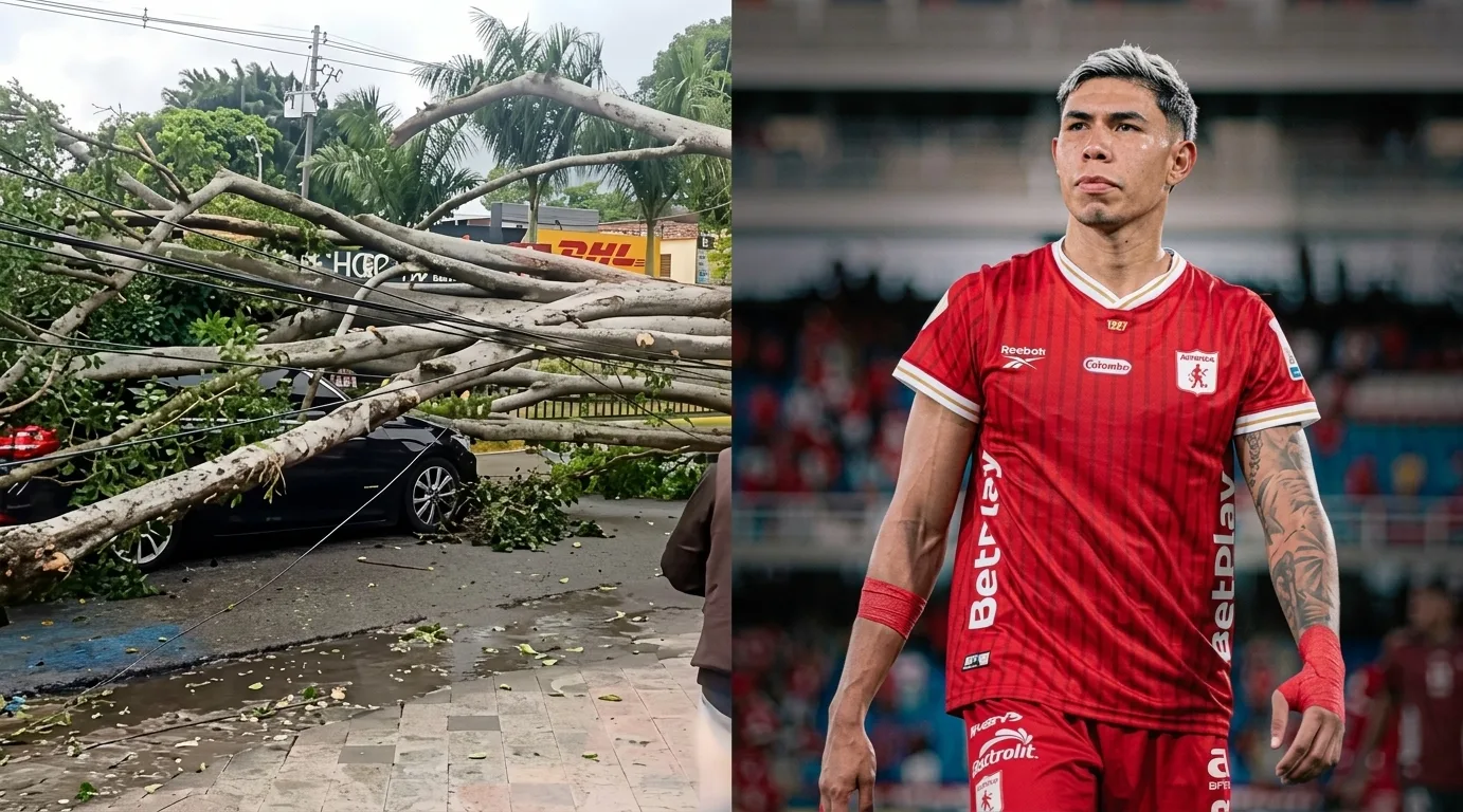 Árbol caído sobre el vehículo de Nicolás Hernández, defensor del América de Cali, en el sector de Ciudad Jardín, al sur de Cali